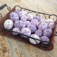 /album/fotogalerie-avadesign/product-img500w-46-jpg/